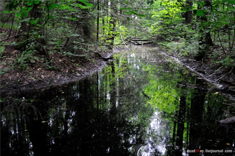 усадьба Алмазово