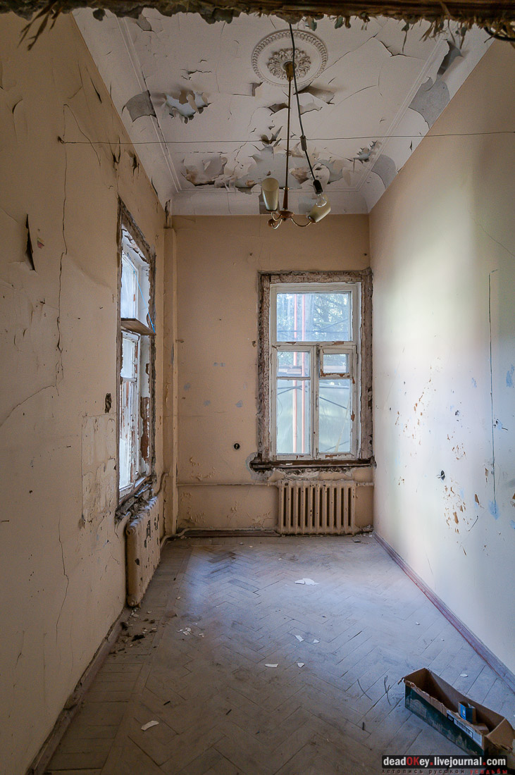 усадьба Мамоново, Сколково, Гусева полоса