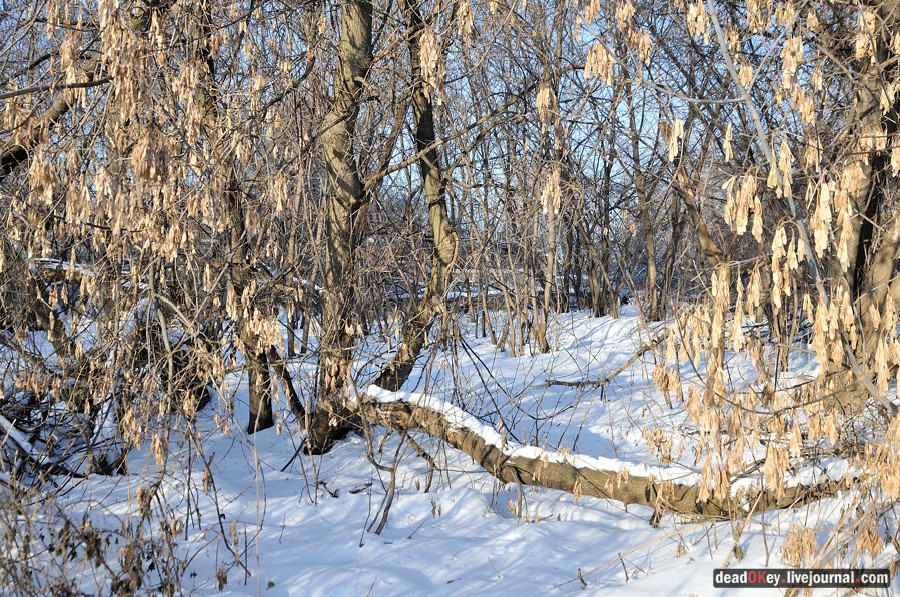 усадьба Люберцы