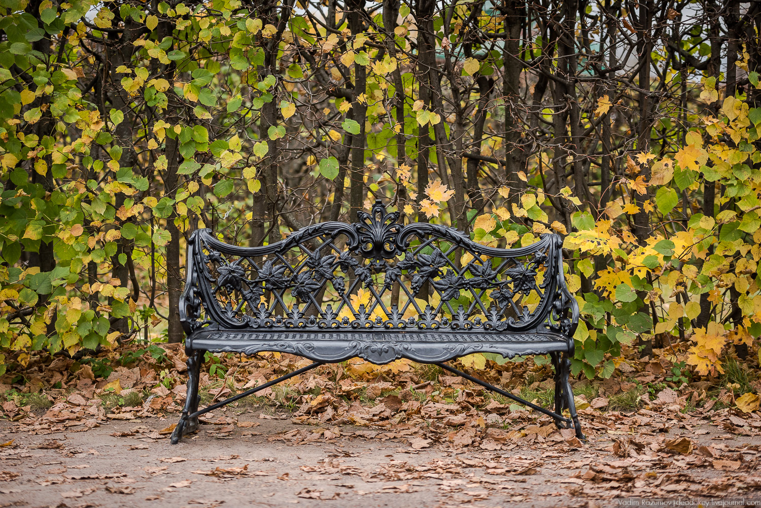 усадьба Кусково, осень 2018 года