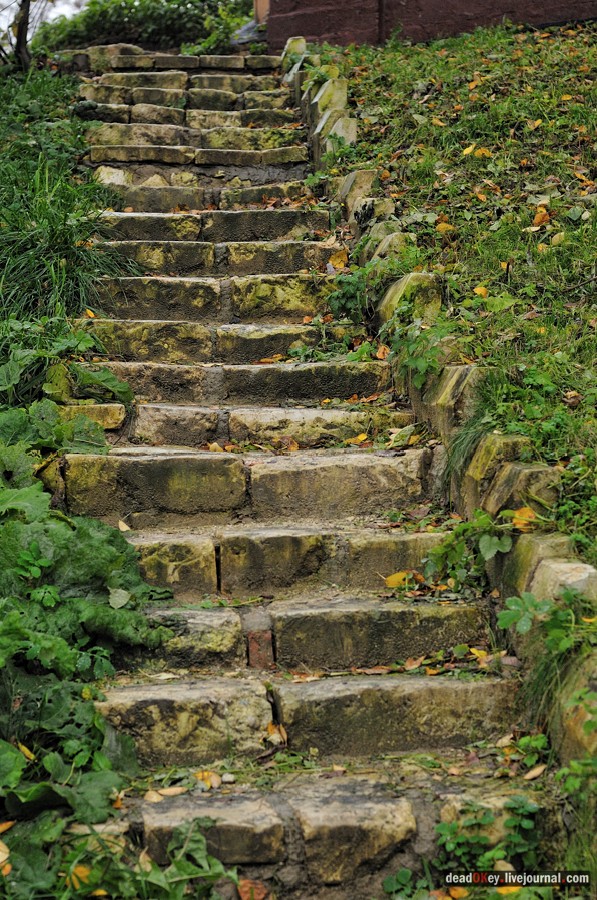 усадьба Богородской (пос. Володарского)