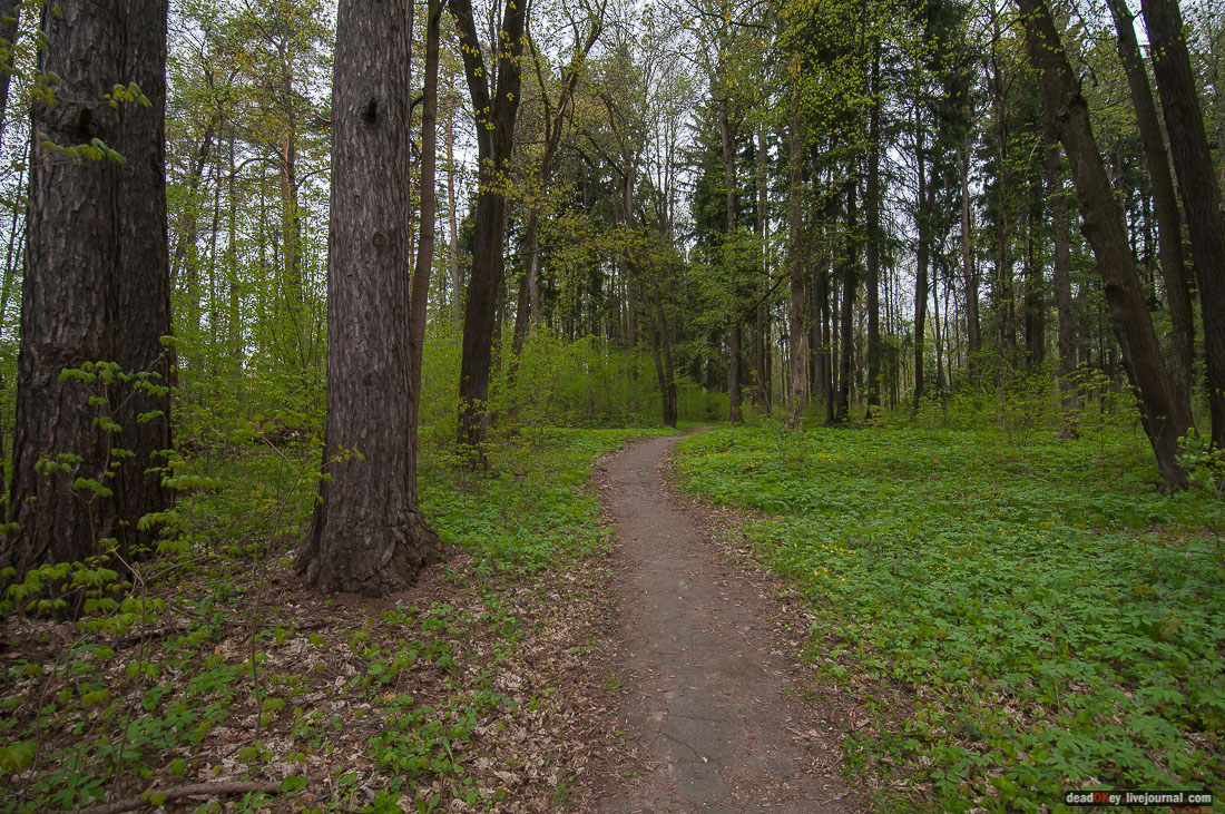 усадьба Михайловское