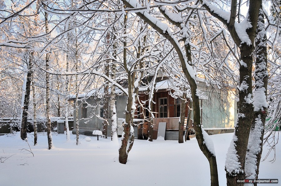 усадьба Полушкино