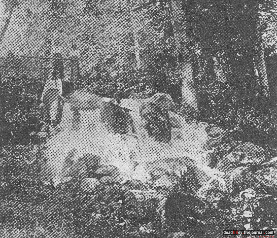 усадьба Василёво, Тверская область, Торжокский район