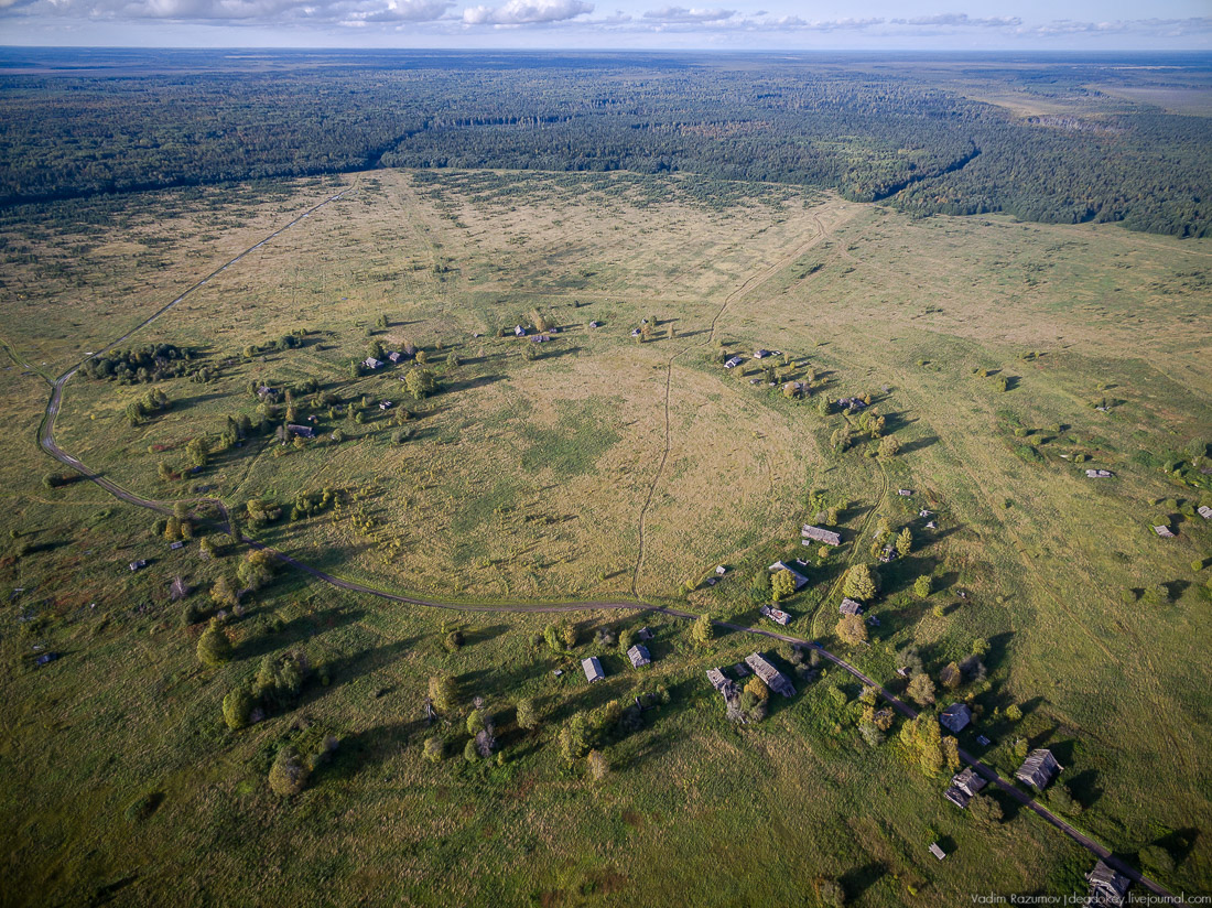 дер. Кучепалда, Архангельская обл.