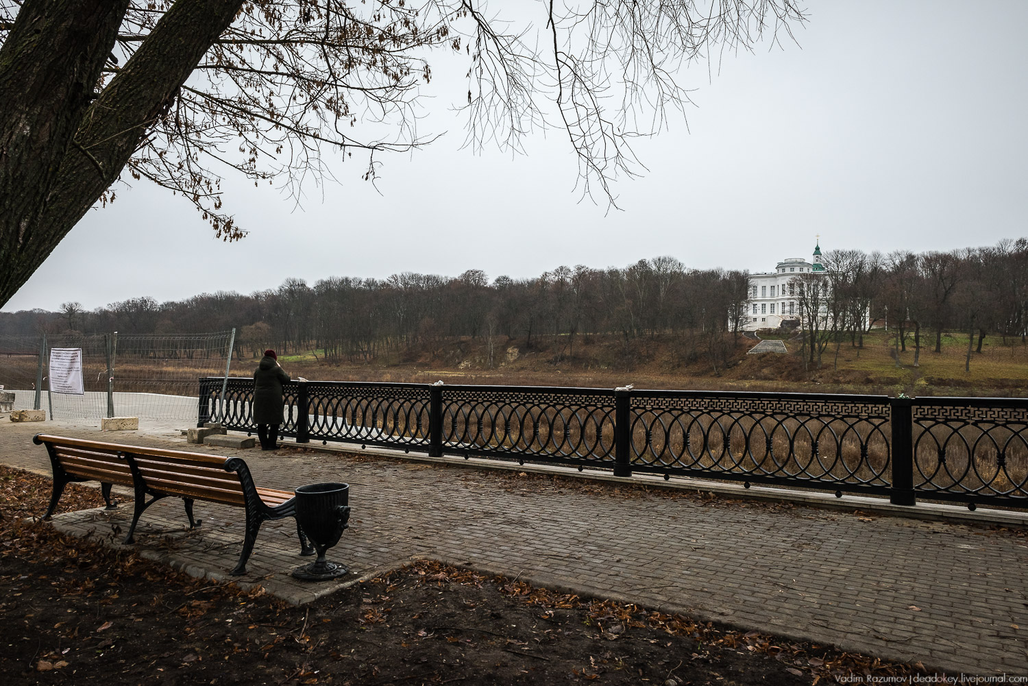 Богородицк, ограда набережной дворцового пруда