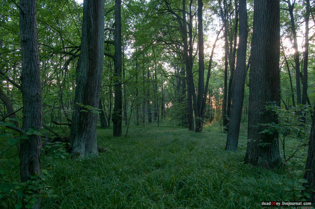 Усадьба Верзилово