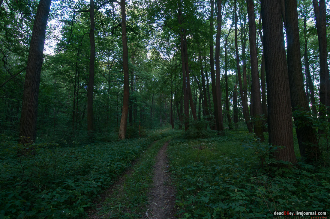 Усадьба Верзилово