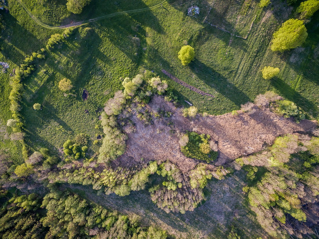 усадьба Никольское-Черенчицы, Тверская область, Торжокский район