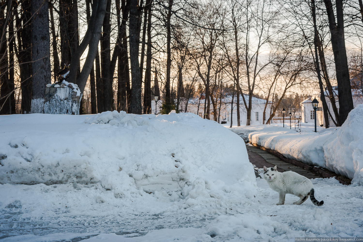 усадьбы Волынщина-Полуэктово, Рузский район