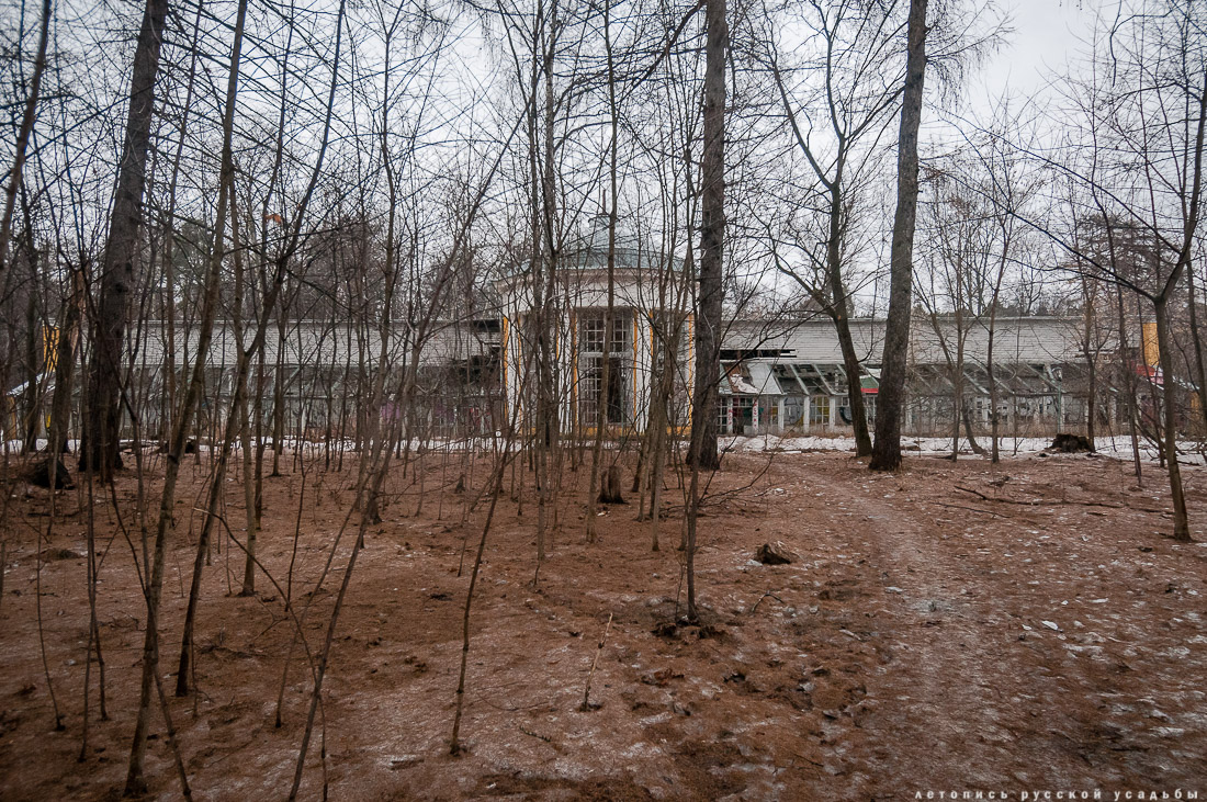 Усадьба Покровское-Стрешнево, интерьеры главного дома, пожар в оранжерее