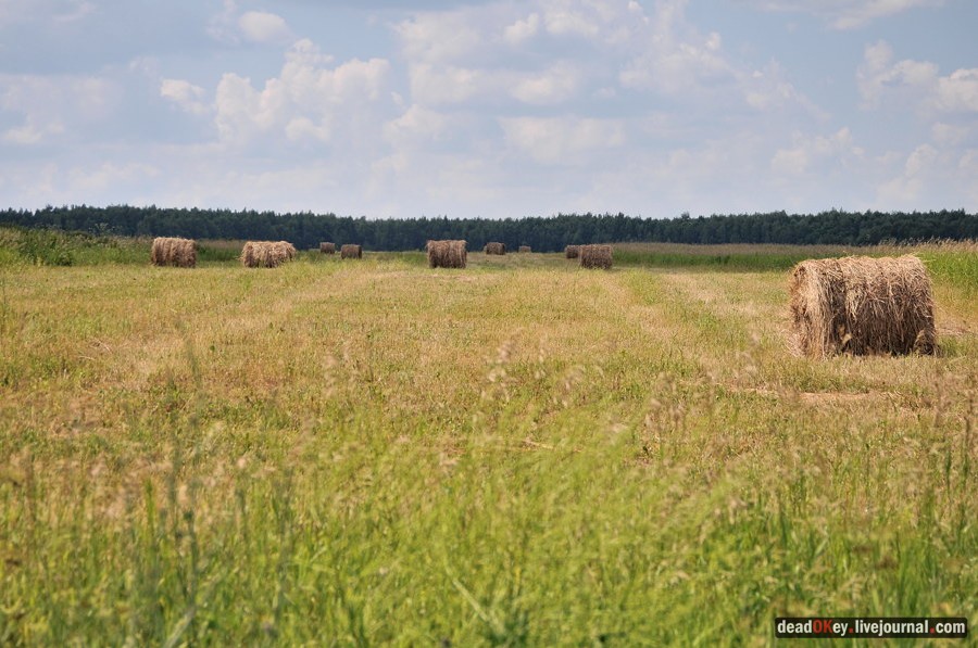 усадьба Подолец