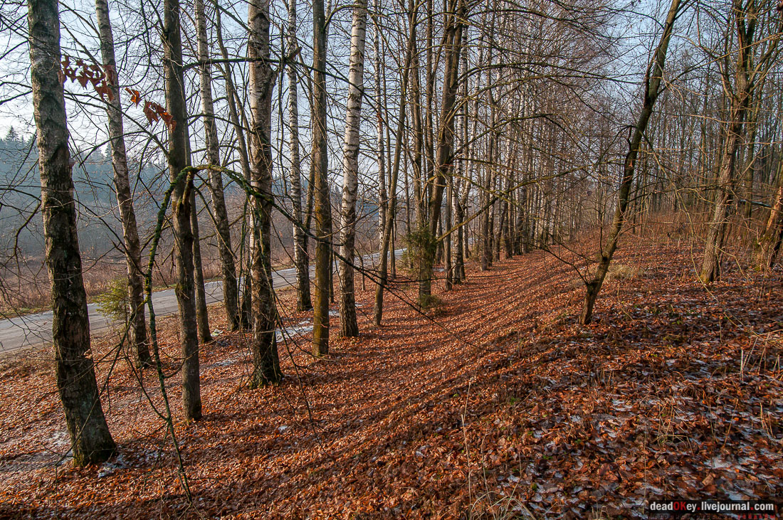 Усадьба Филатово