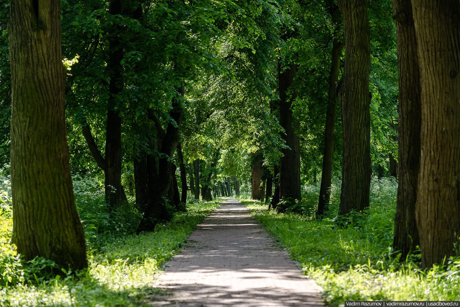 Богородицк, Тульская область