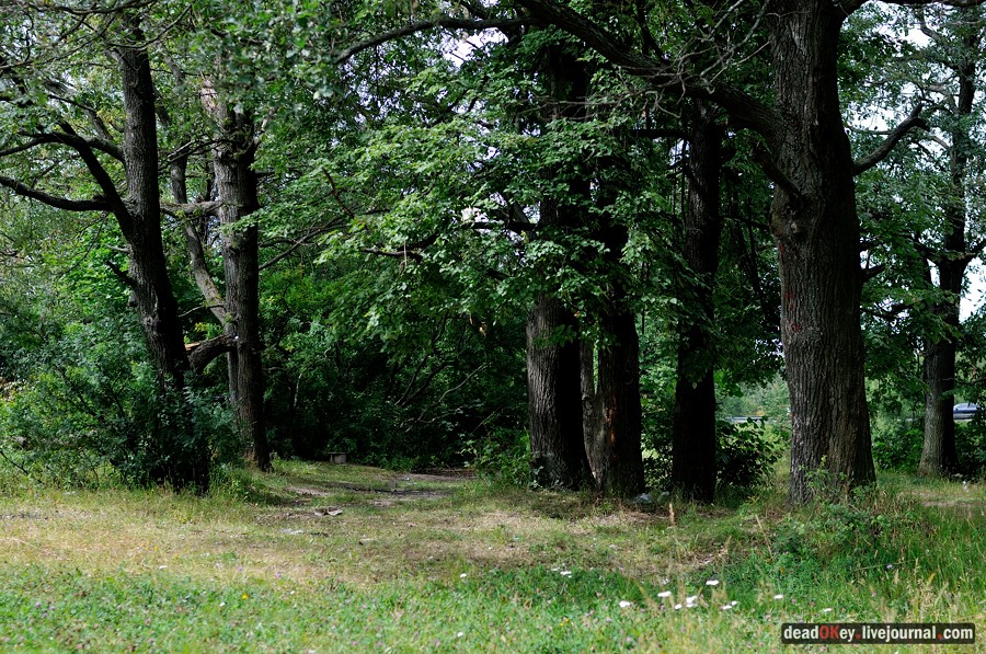 усадьба Троицкое (Мосрентген)