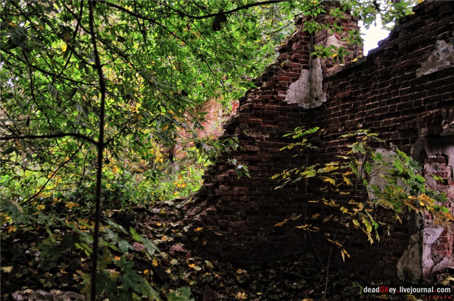 усадьба Ляхово