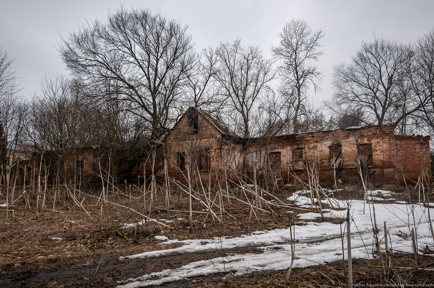 Усадьба Сенницы