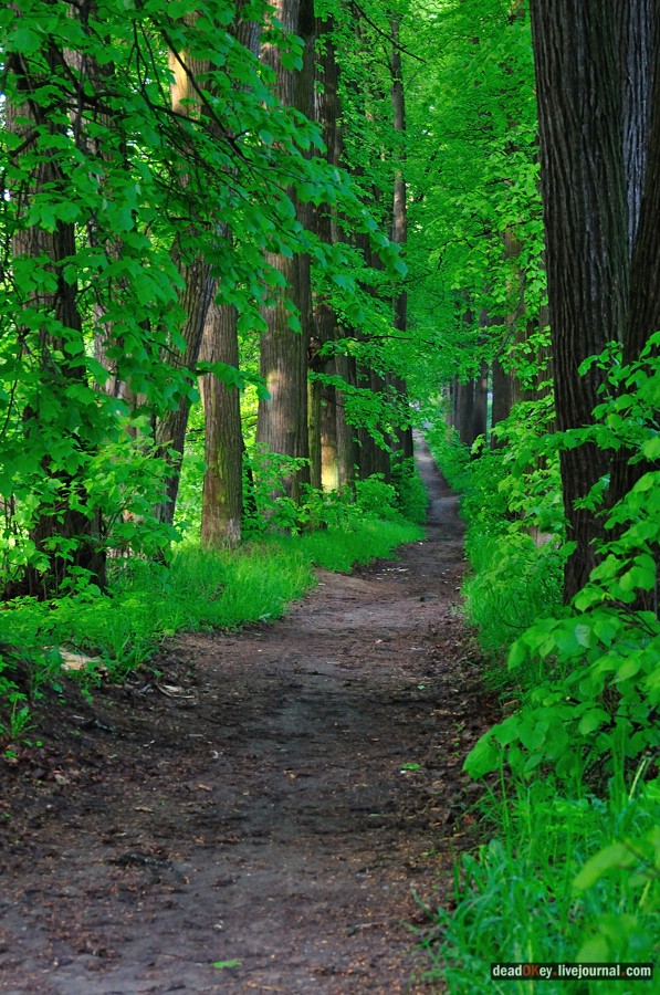 усадьба Мещерское