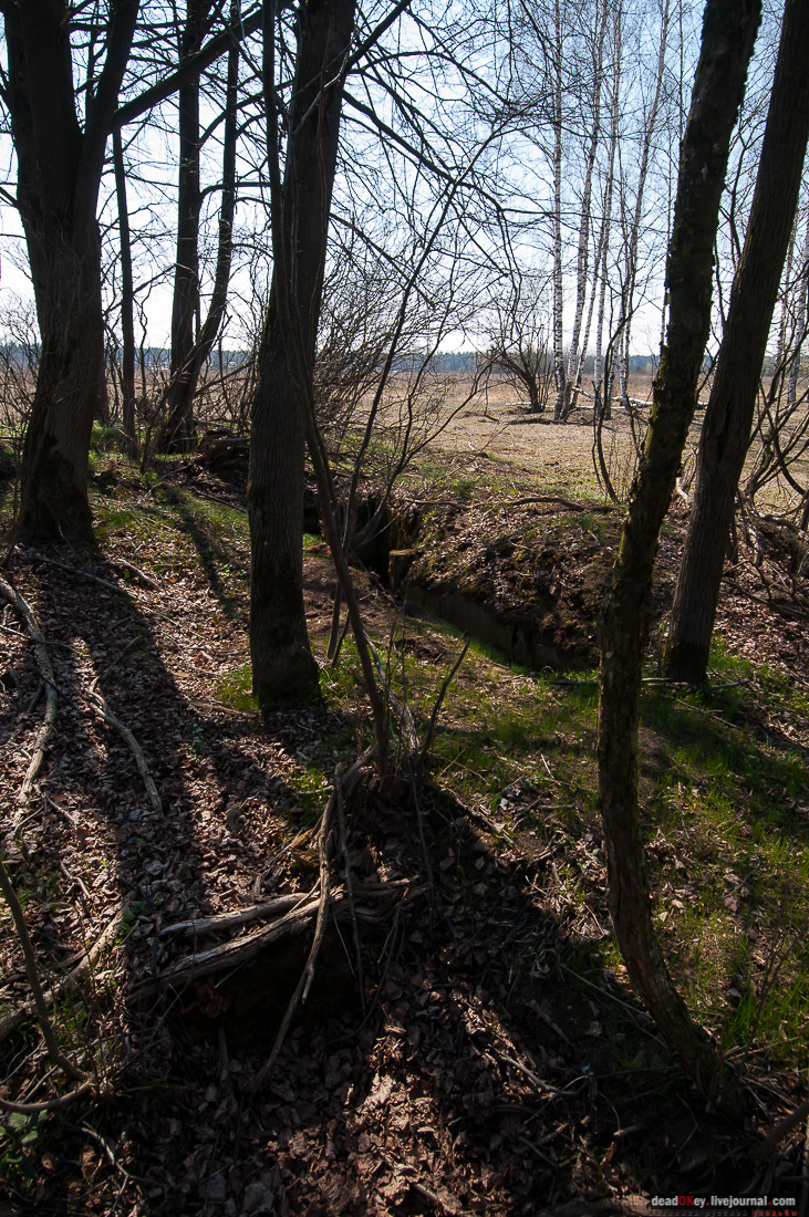 усадьба Савинское (исследование масонского парка)