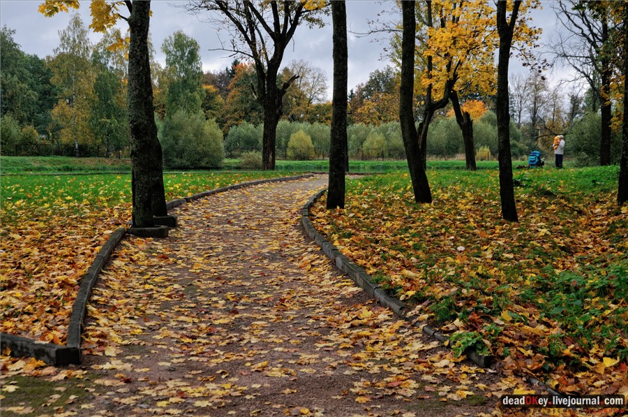 усадьба Марфино