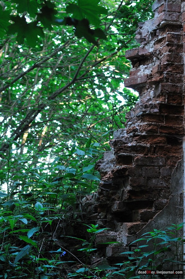 усадьба Клины