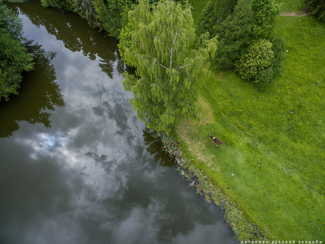 усадьба Артемьево, Ярославская область, Мышкинский район