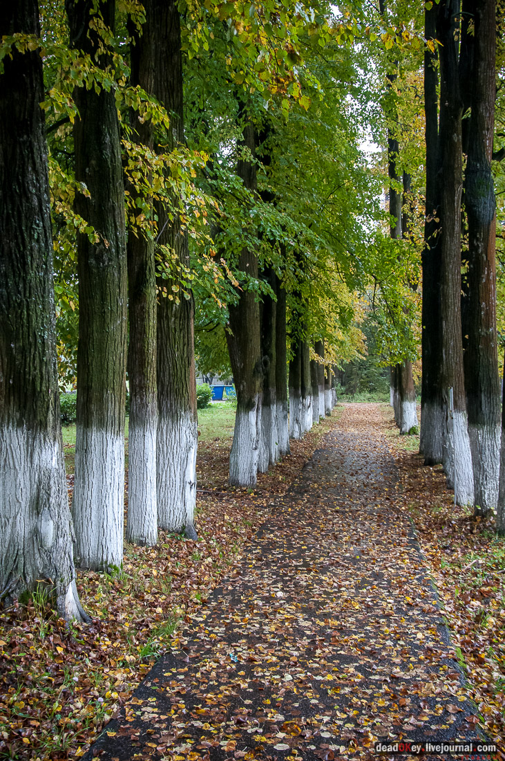 усадьба Сонино
