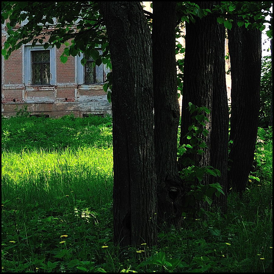 Парковые аллеи в русских усадьбах