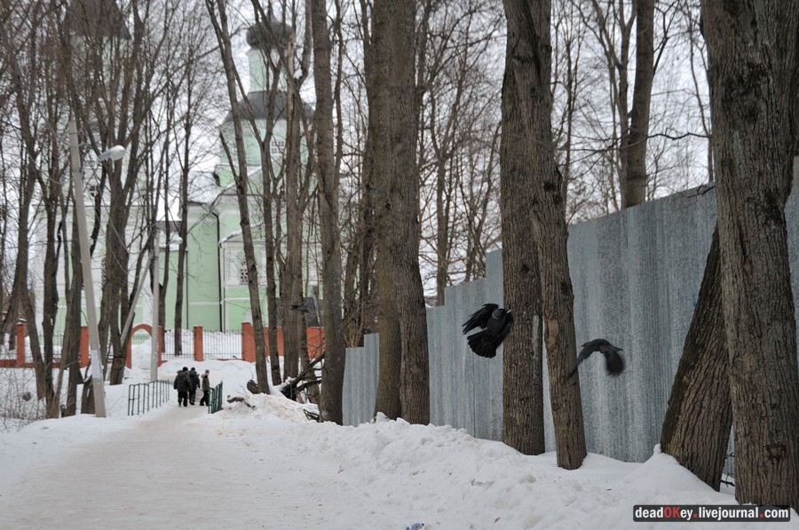 усадьба Старо-Никольское