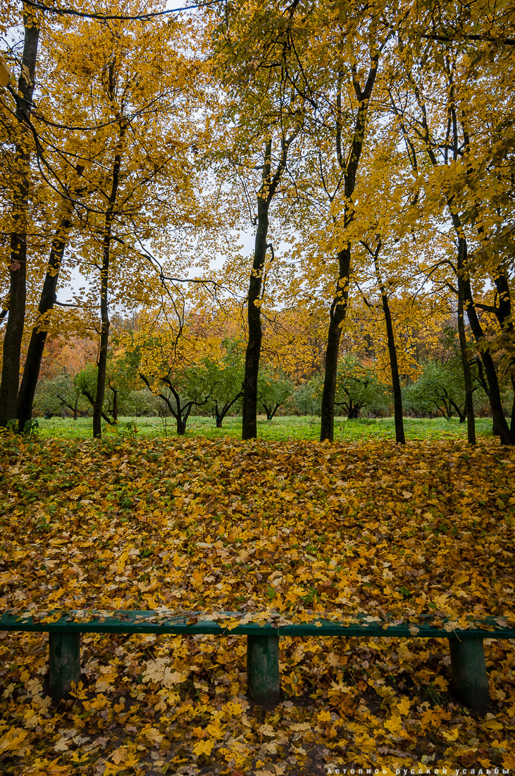усадьба Ясная Поляна Льва Николаевича Толстого, Тульская область, осенью