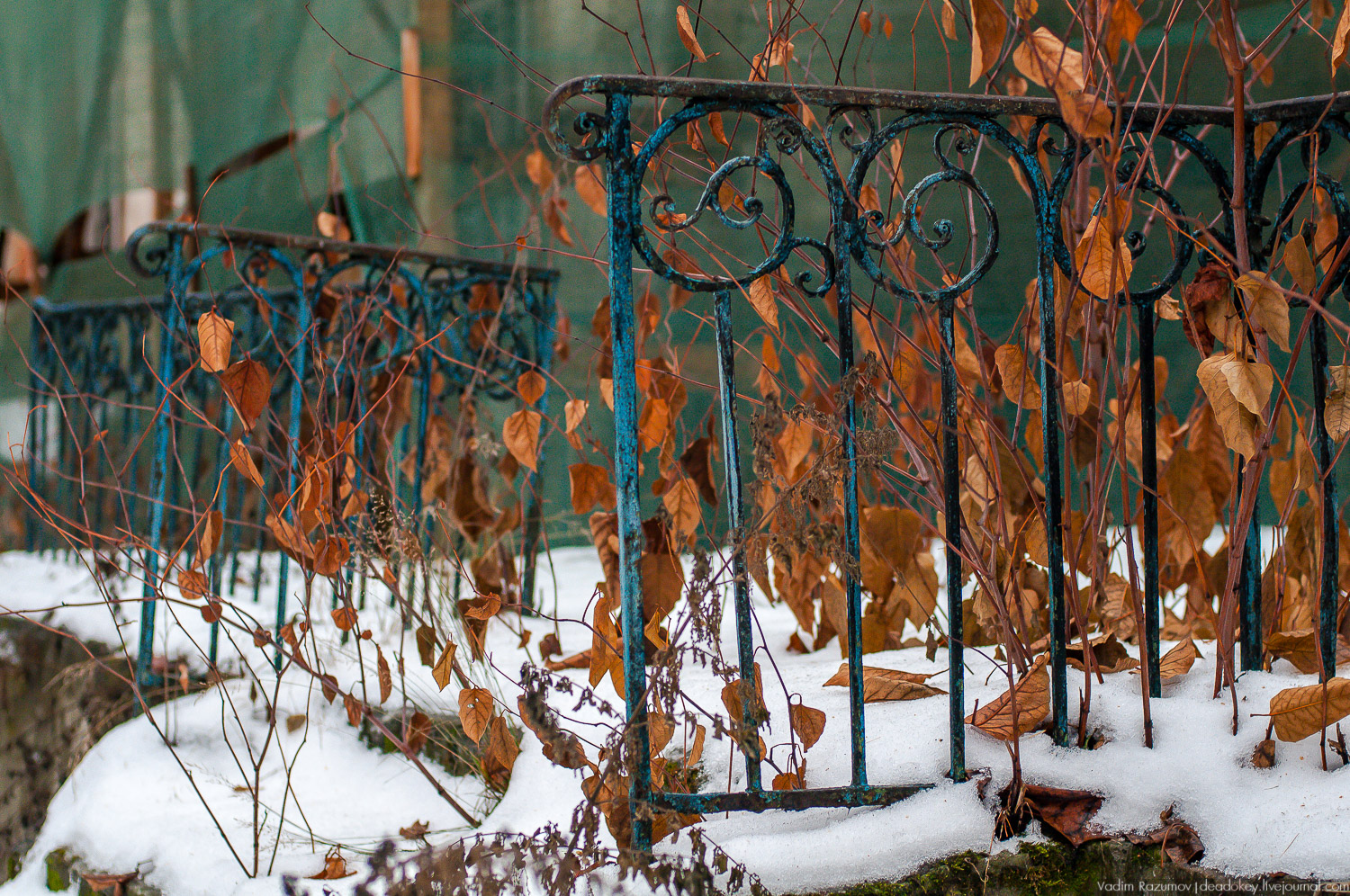 усадьба Салазкино, Видное, Московская область