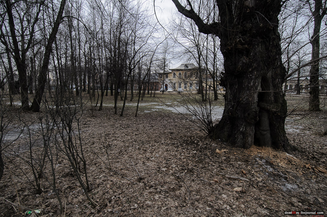 усадьба Алтуфьево