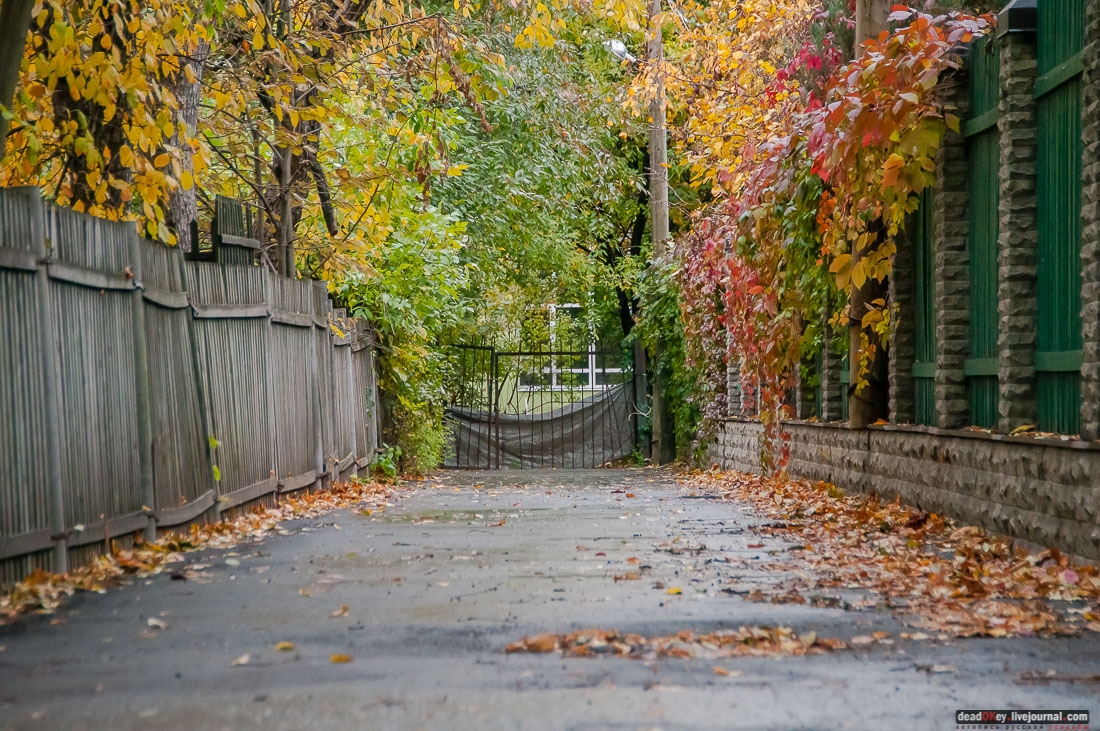 кооперативный поселок Сокол, поселок художников, Москва