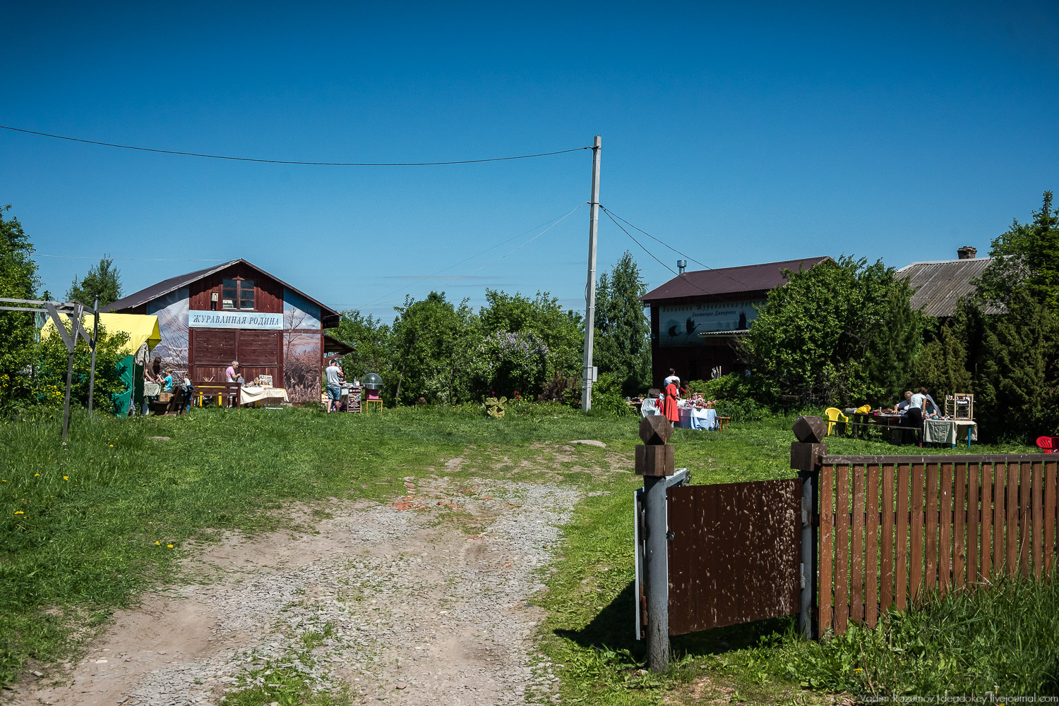 Экоэлектричка. Совиный фестиваль