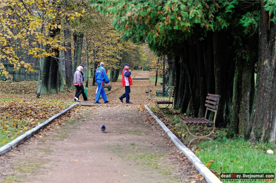 усадьба Марфино