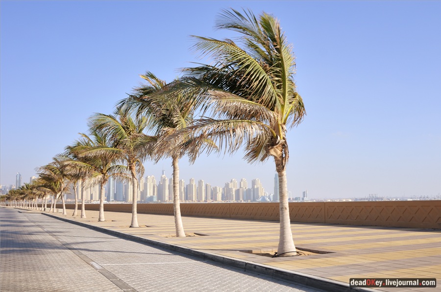 усадьба ОАЭ. Дубаи.