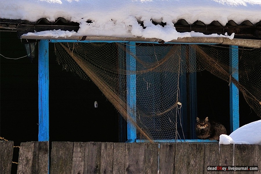 усадьба Костино Сабашниковых