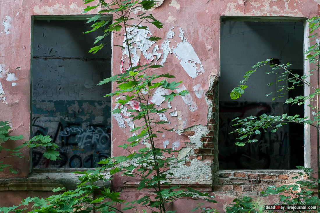 Усадьба Богородское-Кишкино
