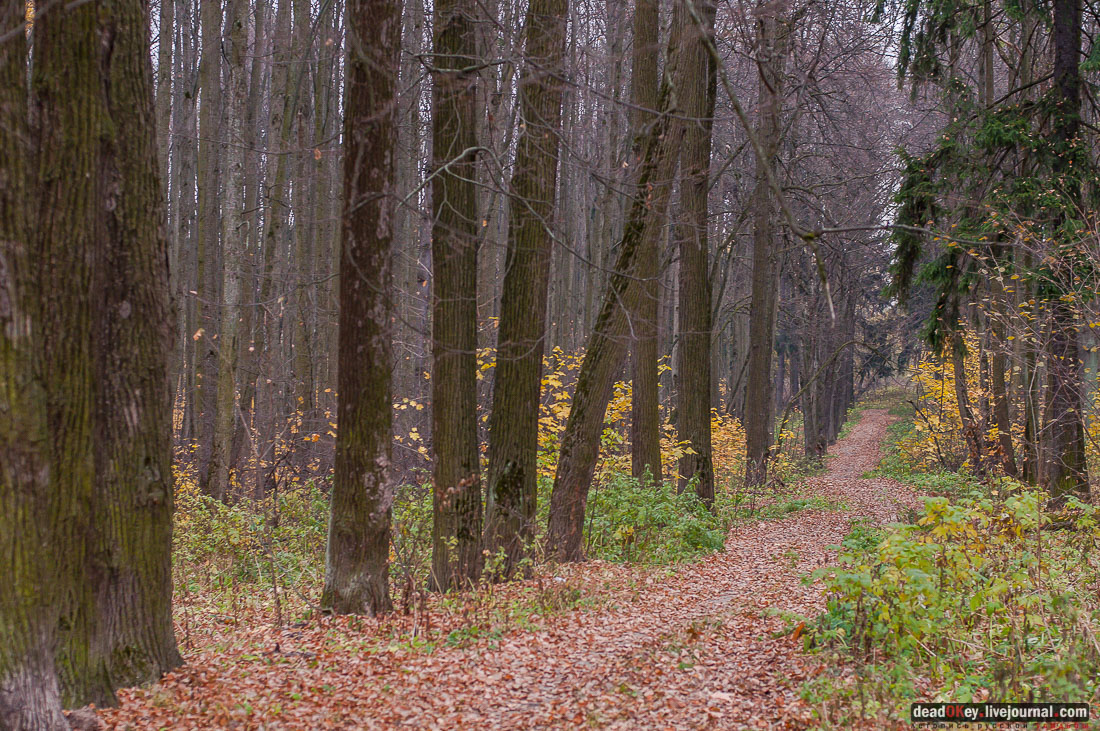 Усадьба Молоди