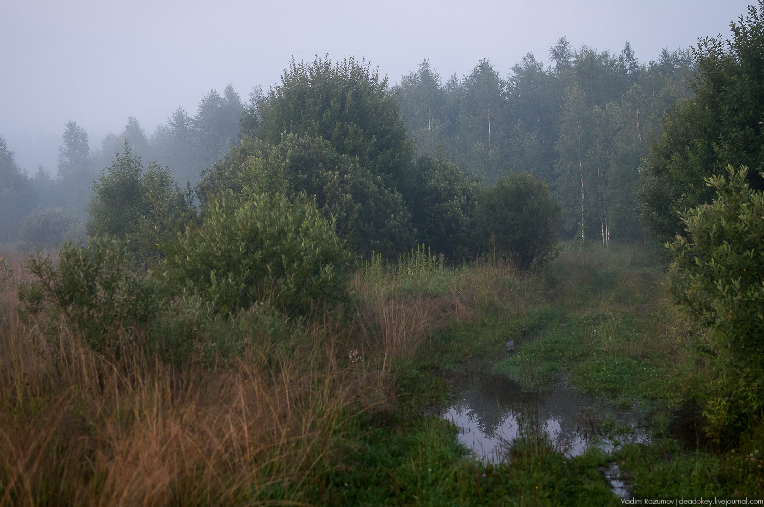 Закат, туман, Стромынь