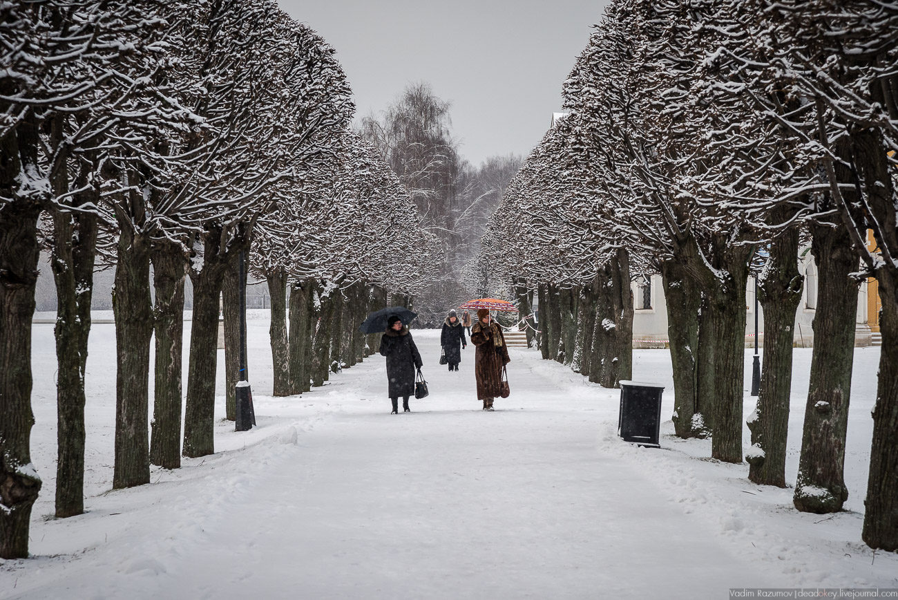 Усадьба Кусково зимой, 2018 год