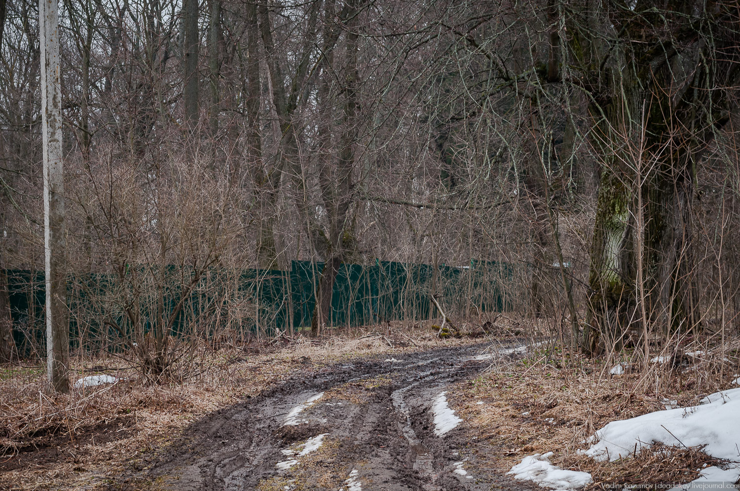 Усадьба Сенницы