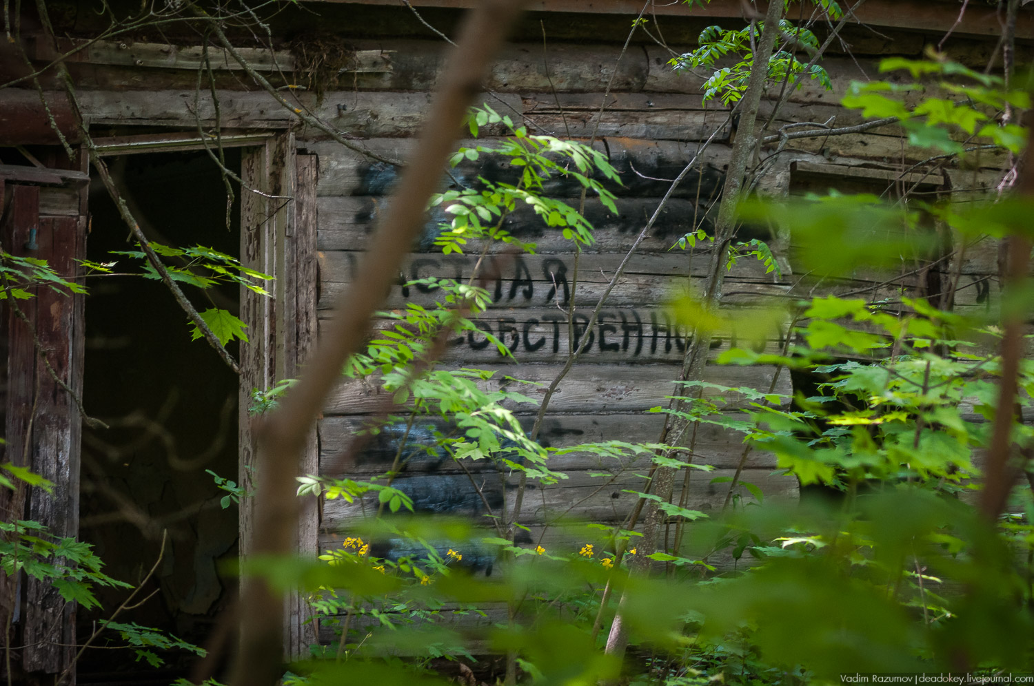 усадьба Хрусловка фон Мекк, Тульская область