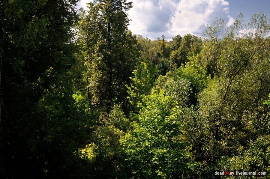 усадьба Денежниково