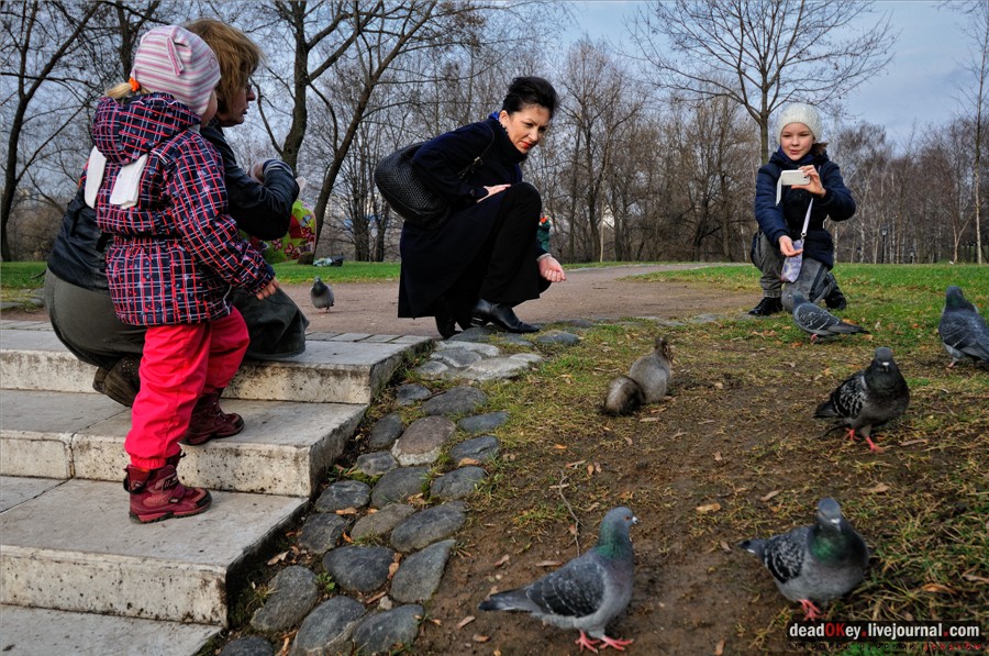 усадьба Царицыно