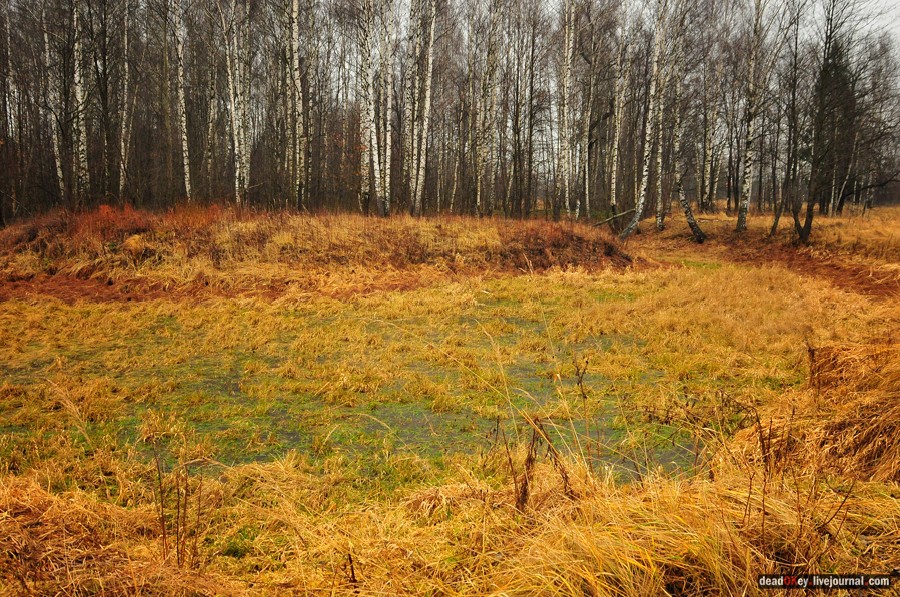 усадьба Савинское