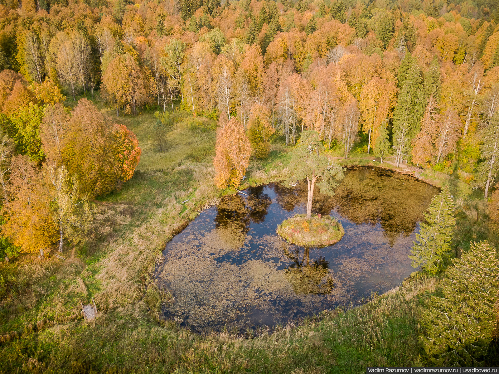 усадьба Знаменское-Раек с дрона, Тверская область, Торжокский район, осень, Летопись русской усадьбы