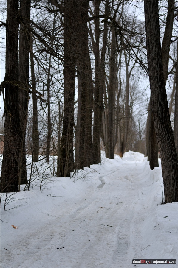 усадьба Ельдигино