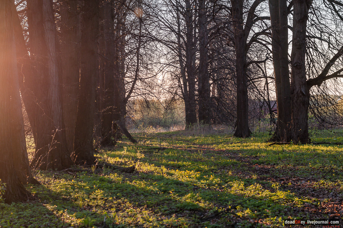 Усадьба Стародуб