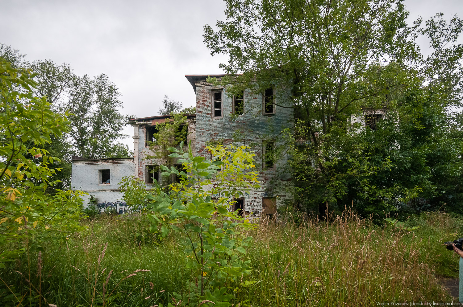 усадьба Лапино-Спасское, г. Королев, Усадебные волонтеры